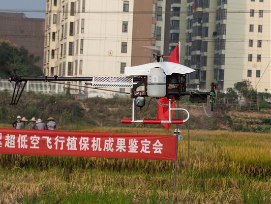 尊龙凯时ag科技超低空？睾叫兄脖；ü蒲行Ч卸