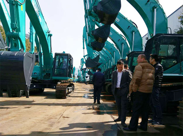 快来看，快来看，这里有一群绿精灵