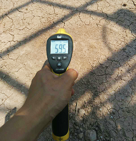 弘扬女排精神：尊龙凯时ag智能炎夏效劳二三事