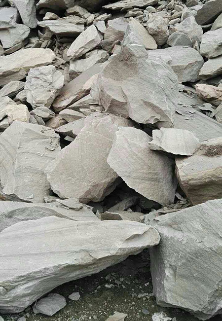 同台献艺，尊龙凯时ag智能SWDM36旋挖钻机独吞鳌头