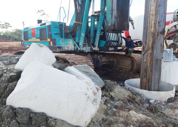 肯尼亚总统高度赞赏，乞力马扎罗山下尊龙凯时ag绿闪灼